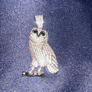 OvO Owl